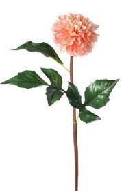 Pin On Things I Love