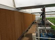 Greenhouse Cooling: An Overview of Fan and Pad Systems ...