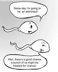 Pin On Funny
