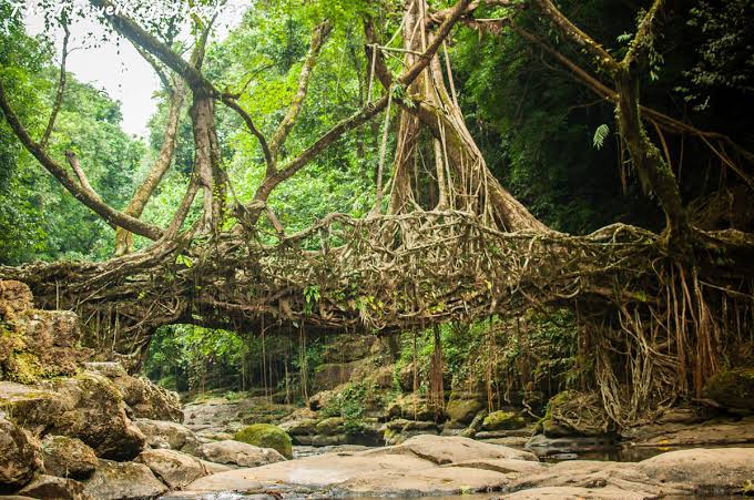Dawki to Cherrapunji