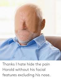 Thanks I Hate Hide The Pain Harold Without His Facial Features Excluding His Nose Hide The Pain Harold Meme On Me Me