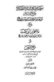 صلاح الدين الصفدي مكتبة نور لتحميل الكتب الإلكترونية