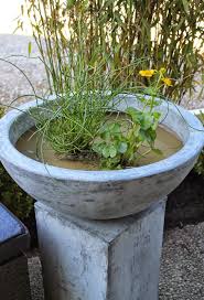 Diy Kreativ Mit Betonpaste Selber Machen Garten Basteln Mit Beton Selber Machen Mit Beton