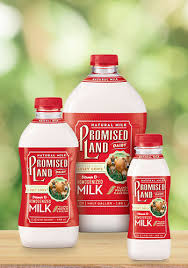 Promised Land Homogenized Lala