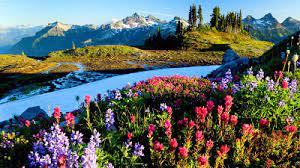 Keindahan yang mengingatkan kita akan kebesaran dan kekuasaan maha pencipta yang menjadikan alam ini untuk. Gambar Pemandangan Alam Semulajadi