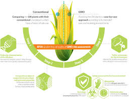 This is why we do pest analysis for your business — to be aware of risks, opportunities, influences, and this is a bank of america swot analysis as an assessment of the bank's strengths, weaknesses. Frontiers Risk Assessment Considerations For Genetically Modified Rnai Plants Efsa S Activities And Perspective Plant Science