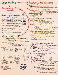 Biochemistry Basics Pogil Answer Key Quizlet Introductory Biochemistry Flowcharts Biochemistry Biochemistry Notes Study Biology