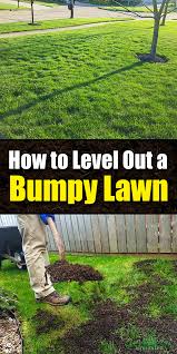 Here at unlimited lawn care & pest control services, we specialize in grooming greenspaces and providing pest control treatment to make a good impression all the time in the greater atlanta. How To Level Out A Bumpy Lawn Lawn And Garden Unlimited Spring Lawn Care Lawn Soil Overseeding Lawn