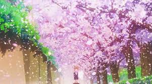 Share a gif and browse these related gif searches. Sakura Tree Background Anime Novocom Top