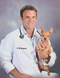 Lincoln park pet care clinic, located in lincoln park, mi, is a medical facility for animals that offers comprehensive animal medical care services for pets including dogs, cats, and other household pets. Our Team Companion Pet Care