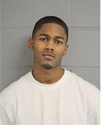 ᐅ Illinois Criminal Records 2009-2026