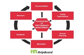 Performance Management Management Performance Management System Job Analysis
