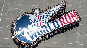 By accepting our privacy policy, you consent to. Wings For Life Worldrun Neue App Funktionen