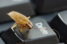 That's why we continue to receive. Residential Pest Control Solutions Smithereen