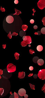 Black Background With Rose Petals Pin By Kate Curtis On Iphone X Backgrounds Phone Wallpapers Cellphone Wallpaper Red Wallpaper
