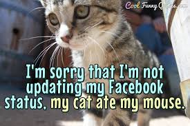 Click to see our best video content. Funny Computer Quotes Cool Funny Quotes