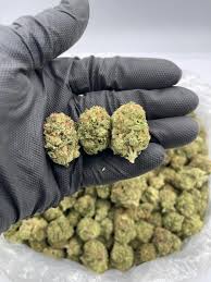 Panoramic view of Miami Platja beachfront and coastal area in Spain near local cannabis clubs