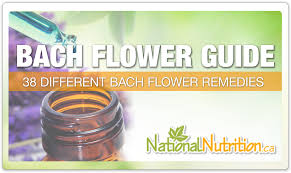 They can help with tension, anxiety, depression and many other undesirable emotional states. A Guide To Bach Flower Remedies National Nutrition Articles