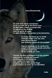Lobo Frases De Lobos Diario De Un Lobo Lobos Enamorados
