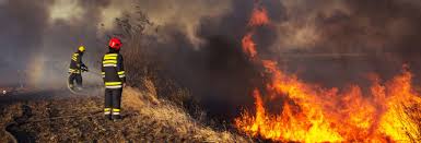 Jun 16, 2021 · gard : Des Methodes Efficaces Pour Eteindre L Incendie De Foret