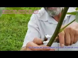 Goz Asisi Youtube Howto Try Again Holding Hands