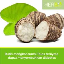Untuk diwariskan ke anak cucuku nanti wkwkwk, hanya resep2 masakan rumahan sederhana. Herbal Batu Penemuan Resep Daun Kimpul Talas Lompong Facebook
