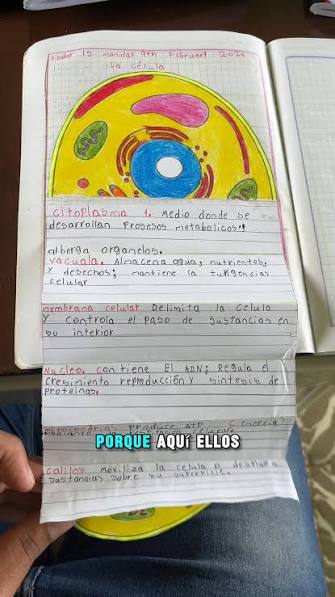 Lapbook interactivo sobre las partes de la célula. 🧫🧬📚🧑🏽‍🏫, .,  #lapbook #lacélula #AprendizajeActivo #actividadeseducativas  #materialescolar #MaterialEducativo | Profe Carlos EnSeña | Facebook