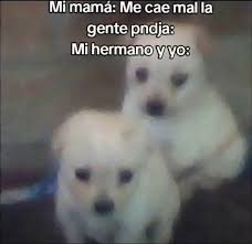 Muchas felicidades Bianca Quezada 🎉✨🎁🥰❤️