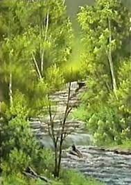 bob ross quiet stream