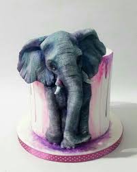 47e7993b917f8bffc41e7dbeb2d5576c Jpg 736 920 Pixel Elefanten Kuchen Crazy Cakes Cupcake Kuchen