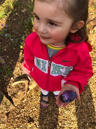 These two can be found here in this little park.