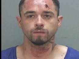 Man charged for allegedly hurting police K-9 while fleeing arrest