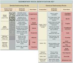 solved place each of the sedimentary rocks supplied by your