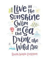Printable Art Live In The Sunshine Swim In The Sea Drink The Etsy In 2020 Inspirational Quotes Quotes Motivational Prints