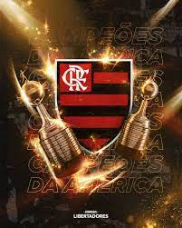 Here you can find the best flamingo wallpapers uploaded by our community. Flamengo 720x900 Wallpaper Teahub Io