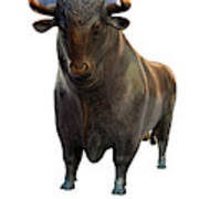 Wer billig gibt und teuer kauft, der hat am markt bald ausgeschnauft. Bulle Und Baer Boerse Frankfurt Photograph By Andrea Grewe Hagemann