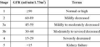 If you are not working at levels that are above the. Kdigo Classification Of The Stages Of Chronic Kidney Disease Download Scientific Diagram