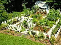 Sehingga akan pas untuk roof garden sekalipun. Tips Membuat Apotik Hidup Di Rumah Iyansomnia