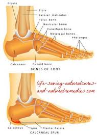 Pin On Massage Therapy