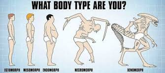 What Body Type Are You Funny Memes Body Types Xenomorph