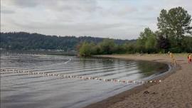 Mudskipper US Sammamish Open Water Swim - Seattle