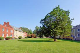 Apartment rent in norfolk has increased by 3.3% in the past year. Larchmont Apartments Norfolk Va Apartments