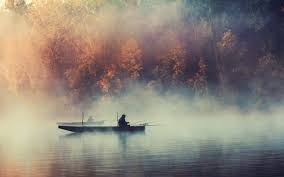 So, you have decided to start a freshwater aquarium? Fishing Wallpapers Top Free Fishing Backgrounds Wallpaperaccess