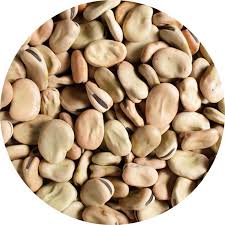 Mar 01, 2011 · i just bought a bag of dried fava beans and found this site. Shop Fava Dry Beans Alma Gourmet