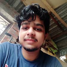Aniket Roy