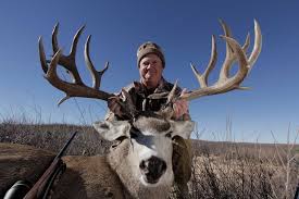 To become adept ad field judging tine length, measure as many antlers as you can. Ultimate Mule Deer Hunt Big Time Texas Hunts Tpwd