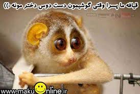 images?q=tbn:ANd9GcRQQ5b86Ea1GclbqIYtkV4_bJQeOFAvUae4zF6dOZGb69qSiG49pQ