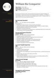Nyc account director serves as the primary we are seeking a senior club relationship leader to join our team who will serve as an account. Executive Account Manager Resume Sample Kickresume