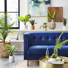 Maybe you would like to learn more about one of these? Modern Living Room With Faux Greenery Decor Ideas Target