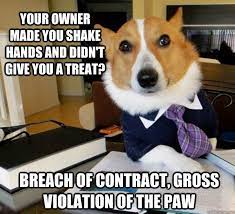 Pin On Jokes Lawyers Might Like Jlml